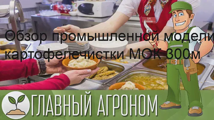 Обзор промышленной модели картофелечистки МОК 300м